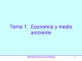 Tema 1' Economa y medio ambiente