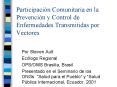 Participacin Comunitaria en la Prevencin y Control de Enfermedades Transmitidas por Vectores