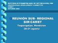 SISTEMA INTERAMERICANO DE METROLOGA, SIM PROFESSONAL DEVELOPMENT COMMITTEE CAMET INFORME 2001
