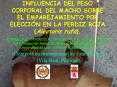 INFLUENCIA DEL PESO CORPORAL DEL MACHO SOBRE EL EMPAREJAMIENTO POR ELECCIN EN LA PERDIZ ROJA Alector