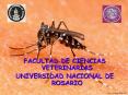 FACULTAD DE CIENCIAS VETERINARIAS
