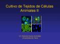 Cultivo de Tejidos de Clulas Animales II