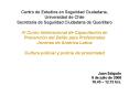 Centro de Estudios en Seguridad Ciudadana,