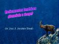 Dr' Jos A' Savin Tirado