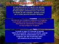 Diapositiva 1