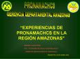 Diapositiva 1