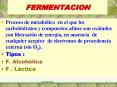 FERMENTACION