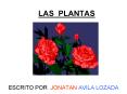 LAS PLANTAS