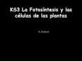 KS3 La Fotosntesis y las clulas de las plantas