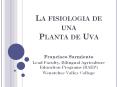 La fisiologia de una Planta de Uva