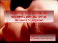 Introduccin al estudio del desarrollo prenatal de los sistemas de rganos