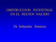 OBSTRUCCION  INTESTINAL              EN EL RECIEN NACIDO  Dr. Sebasti