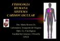 FISIOLOGIA HUMANA SISTEMA CARDIOVASCULAR