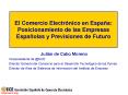 El Comercio Electrnico en Espaa: Posicionamiento de las Empresas Espaolas y Previsiones de Futuro
