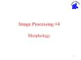 Image Processing