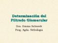 Determinacin del Filtrado Glomerular