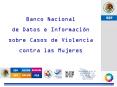 El Sistema de monitoreo de la violencia contra las mujeres en la Secretara de Seguridad Pblica