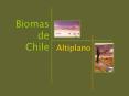 Presentacin de PowerPoint