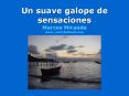 Un suave galope de sensaciones Marcos Mirande marc_mirhotmail'com