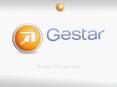 Gestar Proyectos