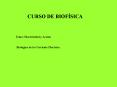 Presentacin de PowerPoint