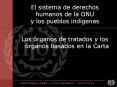 El sistema de derechos humanos de la ONU y los pueblos indgenas
