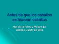 Antes de que los caballos se hicieran caballos