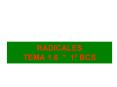 RADICALES TEMA 1'6 1 BCS