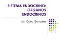 SISTEMA ENDOCRINO: ORGANOS ENDOCRINOS