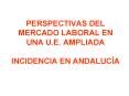 PERSPECTIVAS DEL MERCADO LABORAL EN UNA U'E' AMPLIADA INCIDENCIA EN ANDALUCA