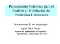 Pensamiento Sistmico para el Anlisis y la Solucin de Problemas Gerenciales