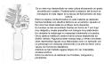 El examen del "Disco de Lafone Quevedo o Disco de Chaquiago" est enmarcado dentro de dos perspectiva