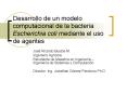 Desarrollo de un modelo computacional de la bacteria Escherichia coli mediante el uso de agentes
