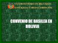 VICEMINISTERIO DE RECURSOS NATURALES Y MEDIO AMBIENTE