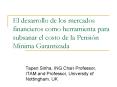 El desarrollo de los mercados financieros como herramienta para subsanar el costo de la Pensin Mnima