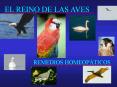 Presentacin de PowerPoint