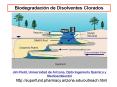 Biodegradacin de Disolventes Clorados