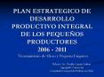 PLAN ESTRATEGICO DE DESARROLLO PRODUCTIVO INTEGRAL DE LOS PEQUEOS PRODUCTORES 2006 2011