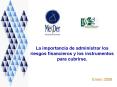 La importancia de administrar los riesgos financieros y los instrumentos para cubrirse'