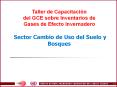 Taller de Capacitacin del GCE sobre Inventarios de Gases de Efecto Invernadero Sector Cambio de Uso