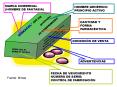 Sin ttulo de diapositiva