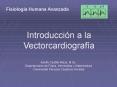 Introduccin a la Vectorcardiografa