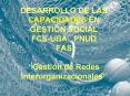 DESARROLLO DE LAS CAPACIDADES EN GESTIN SOCIAL FCEUBA PNUD FAS Gestin de Redes Interorganizacionales