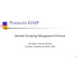 Protocolo IGMP
