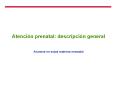 Atencin prenatal: descripcin general