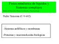 Fisica estadistica de liquidos y Sistemas complejos