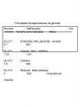 Sin ttulo de diapositiva