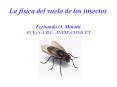 La fsica del vuelo de los insectos Fernando O' Minotti FCEyNUBA INFIPCONICET