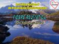 FIEBRE REUMATICA