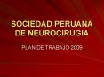 SOCIEDAD PERUANA DE NEUROCIRUGIA